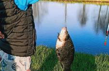 Nowy Domek na Mazurach - łowisko ryb - Foto 18