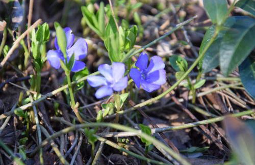 Studio Gościnne ANTEK - Foto 22