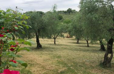 Appartamento "In viaggio come a casa" vicino alla Stazione, LTScalo! - Foto 26