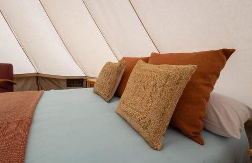 Monte frio de Tenerife - Foto 69