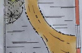 Appartements Kleine Auszeit - Foto 35