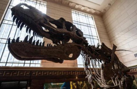 Pet Friendly - Q2 & Domain - King Bed - Pool Table - Foto 36