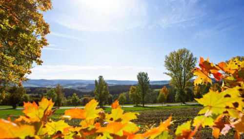 Ferienwohnung im Erzgebirge - Foto 4