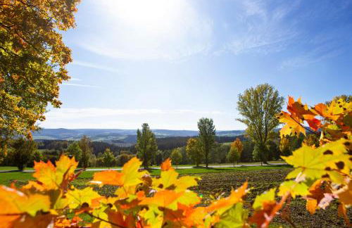 Ferienwohnung im Erzgebirge - Foto 4
