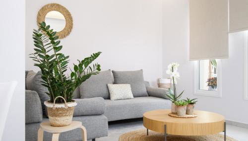 Olivia’s House - Foto 3