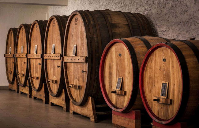 Visita a una cantina con degustazione di formaggio e vino umbro - Foto 2