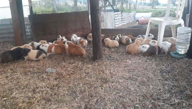 Tour in Fúquene - Foto 3