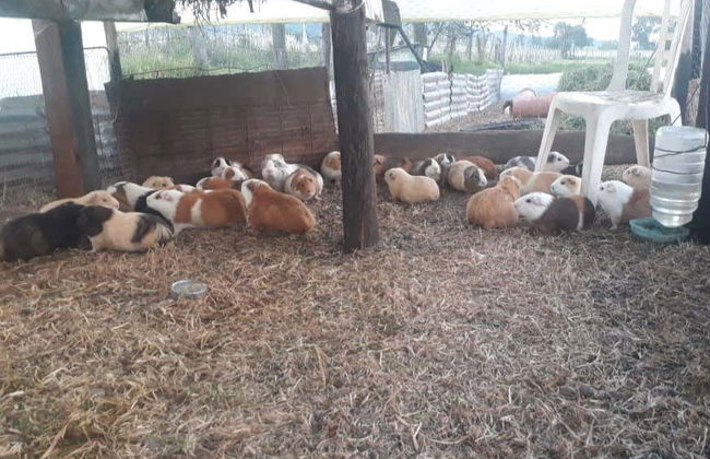 Tour in Fúquene - Foto 3