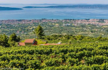 Apartments K-residence - Photo 47