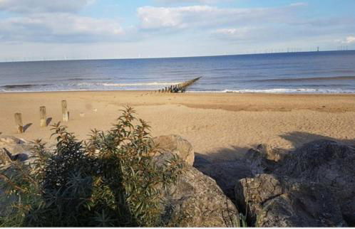 Sherwood Studio Annexe 1 Bedroom Entire Property - Foto 31