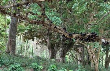 Estúdio Glaura - Foto 22