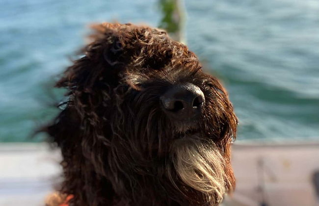 Paseo en barco al atardecer por el río Guadiana - Foto 5