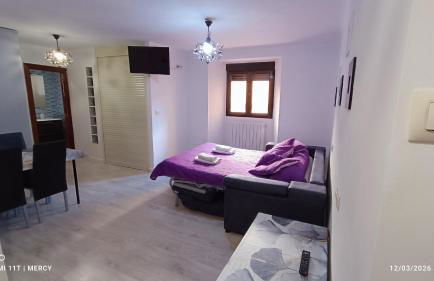 Apartamentos Vigar - Foto 9