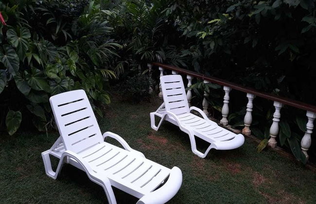 Tropical Garden Self Catering - Photo 9