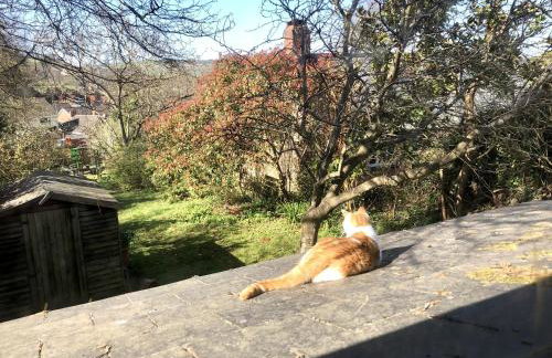 Garden Cottage Wiveliscombe - Foto 15