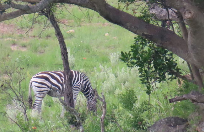 AtNature Luxury Self Catering Cottages - Foto 34