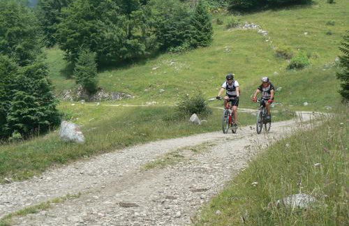 Residence Cimone SuperSci Polle-life - Foto 58