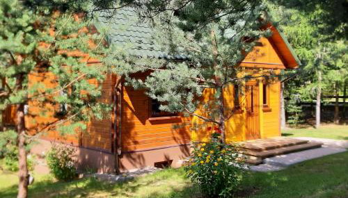 Pod Dębem Bis - Foto 1