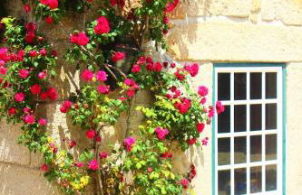 Quinta da Lapa do Gato - Foto 14