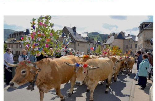 T2 avec piscine-Le family 67 - Photo 32