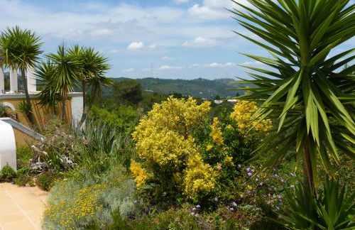 Casal das Oliveiras - Foto 51