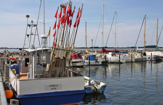 Ferienwohnung Grosser Seestern in Wiek - Foto 36