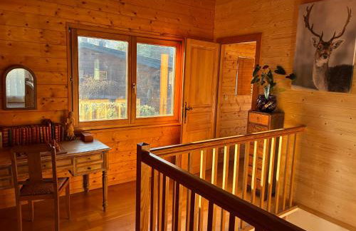 Chalet familial Gerardmer centre - salle de jeu - piscine partagée - Photo 10