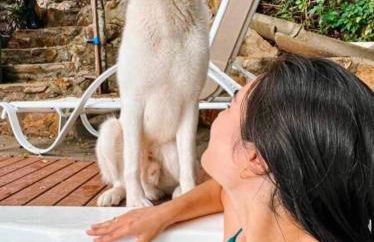 Double Deck - Linda vista para ilha de Floripa com Jacuzzi - Photo 49