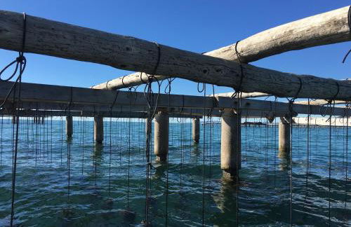 La caseta del canal - Foto 42