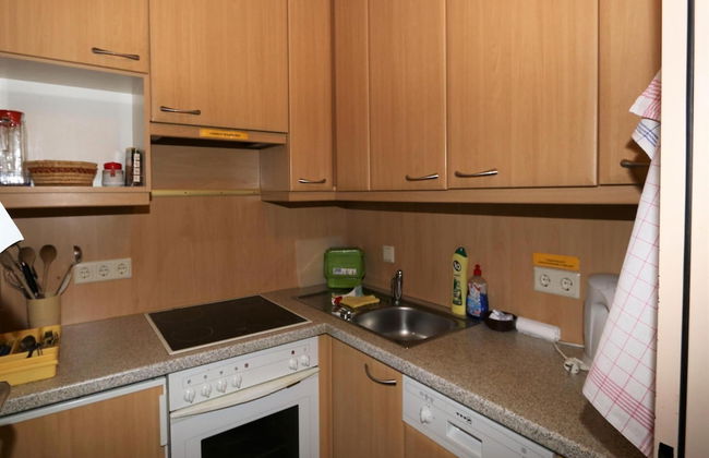 Apartment in Vorberg Near Dachstein Glacier - Foto 6