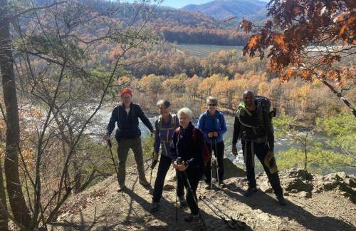Hot Springs: 2 Cabins Waterfall & Mountain Views - Foto 10