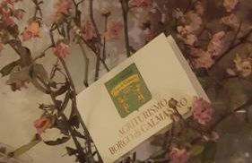 APPARTAMENTO CASA VACANZA AGRITURISMO BORGO di CALMASINO - Foto 27