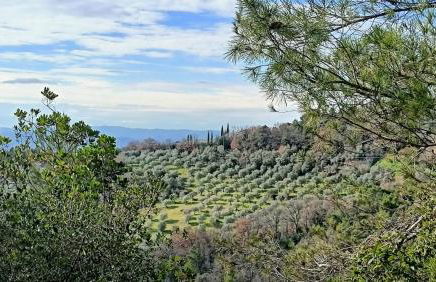 Suite Romantica Borgo di Castelleone di Deruta - Foto 33