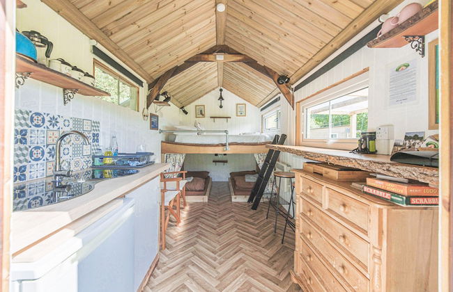 Dartmoor Reach Alpaca Farm - Foto 2