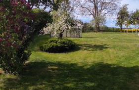 Küstenblüte - Foto 36