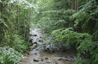 Les Curtillets - Foto 38