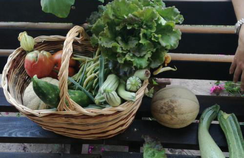 Fattoria San Donato - Foto 64