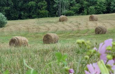 Wilczy Zew Private Spa & Nature - Foto 46