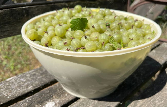 Pension Zelený grunt - Photo 44