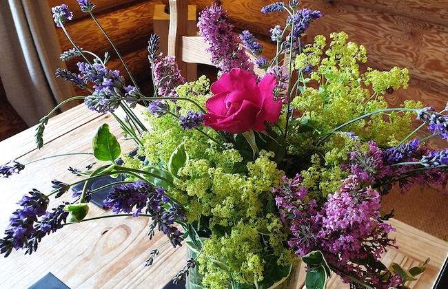 Newland Valley Log Cabins - Foto 44