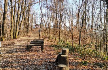 Green Garden Station - Photo 50