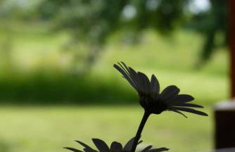 Gîte Sous La Garenne - Foto 8