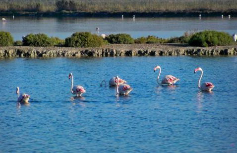 La Macarena - Foto 26