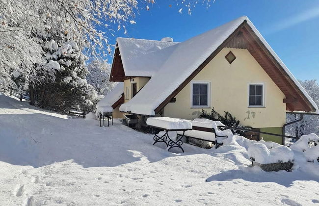 Chalet in Sankt Andra Near Koralpe Ski Area - Foto 1