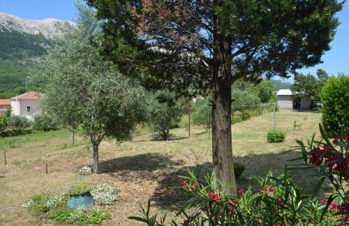 Apartments Alen - Foto 10