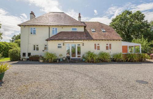 The Big Dingle - Foto 1