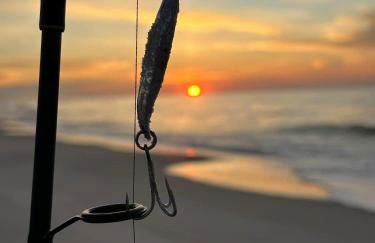 Playing Hookie LLC - Foto 31