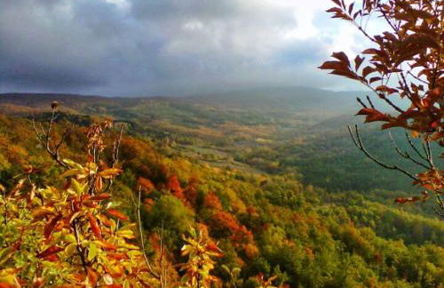 Casa Dante - Foto 27