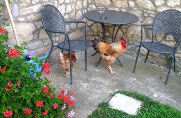 La Piana Dei Castagni - Foto 38