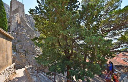 Apartment Mate - Photo 19